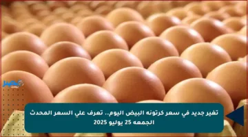 تغير جديد في سعر كرتونة البيض اليوم.. تعرف على السعر المحدث الجمعة 25 يوليو 2025